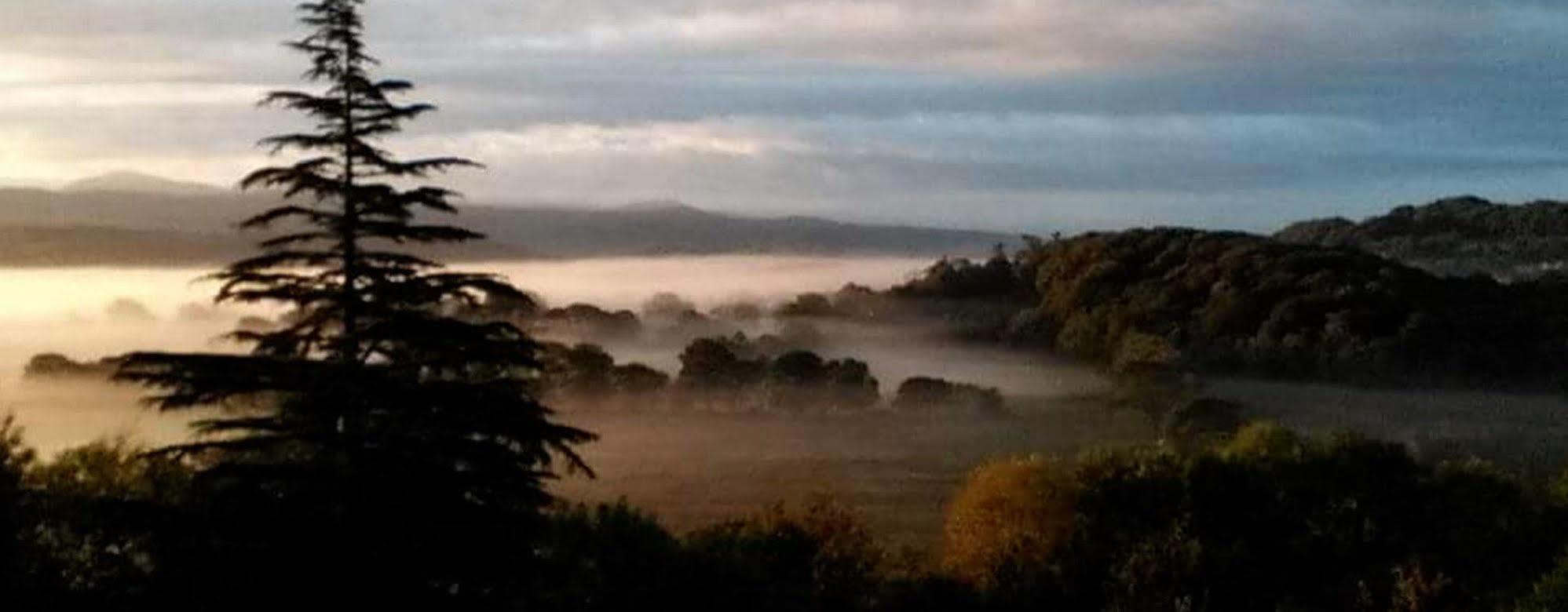 Plas Tan-Yr-Allt Historic Country House & Estate Porthmadog Dış mekan fotoğraf